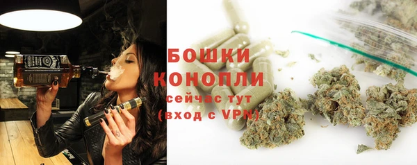 эйфоретик Гусиноозёрск