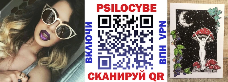 Купить закладки  Снежногорск  Псилоцибиновые грибы мицелий 